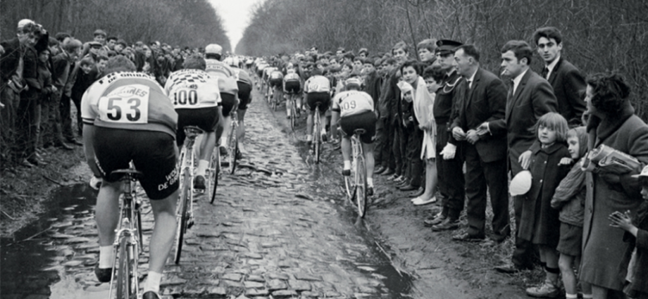 Arenberg Forest. The most iconic place of the one-day race Paris-Roubaix