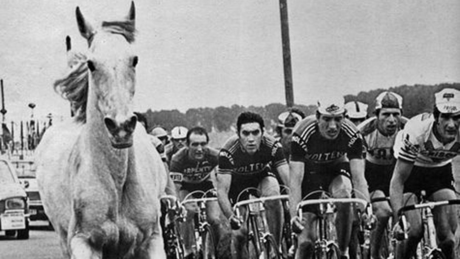 A horse is riding alongside with the peloton, including Eddy Merckx at the Tour de France 1975