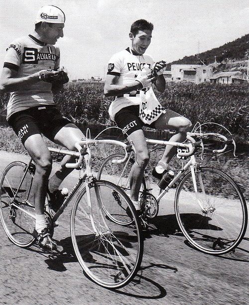 Felice Gimondi and Eddy Merckx in a conversation during a cycling race in 1967